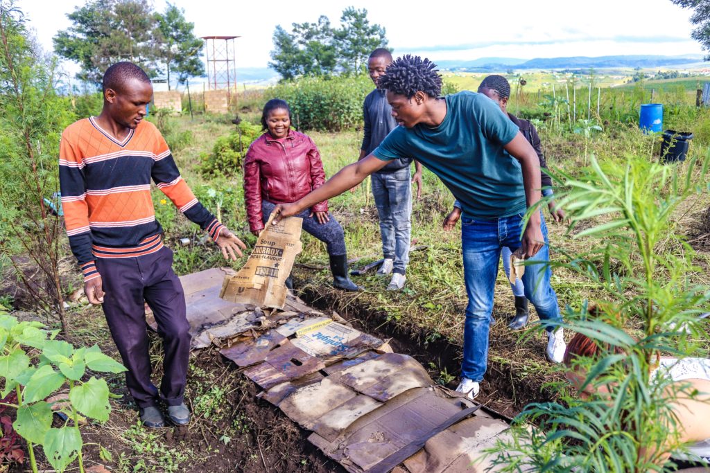 Budding garden project sets deep roots in rural Transkei
