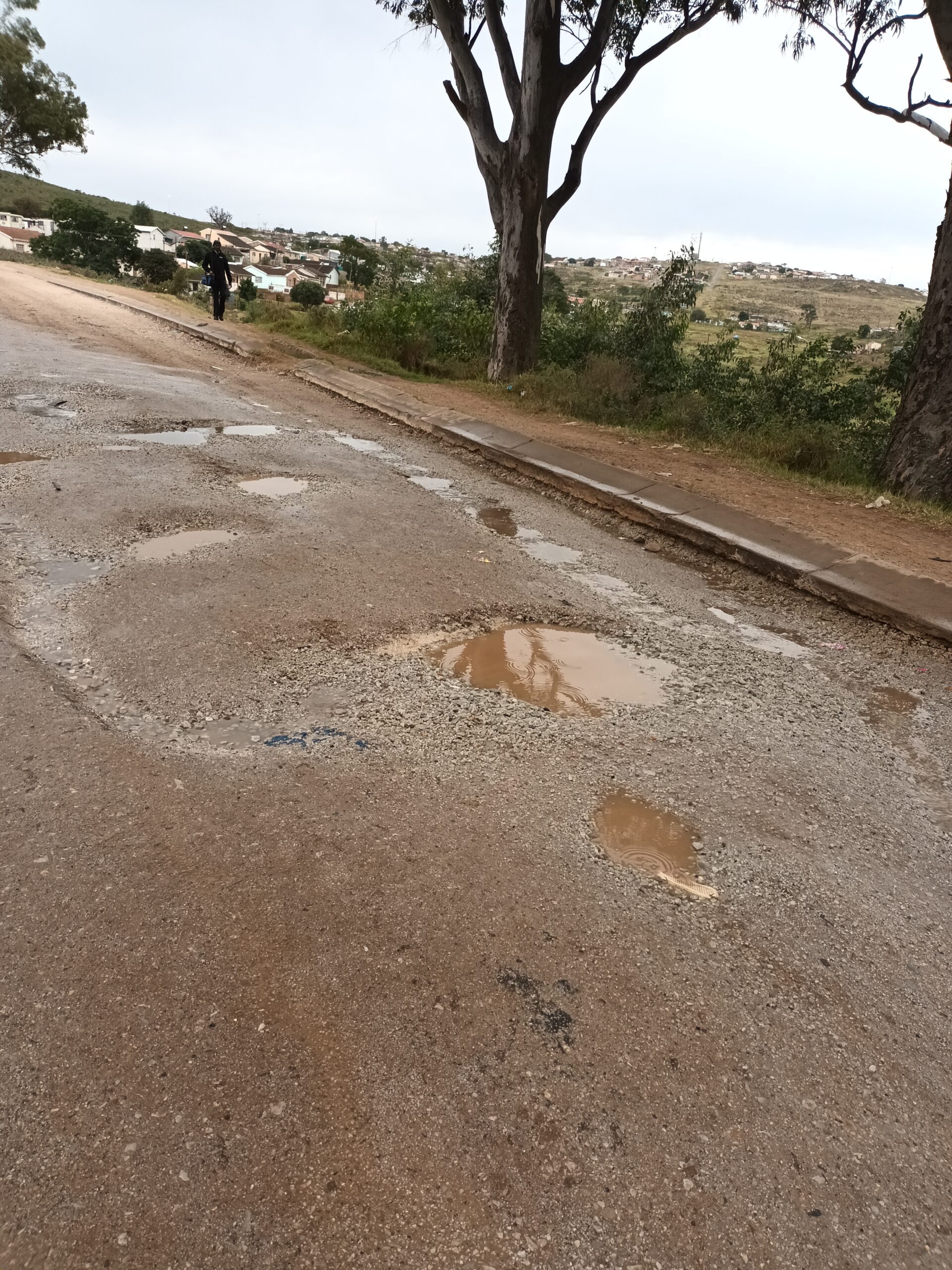 Road Cavity: The road that passes Mary Waters High School is filled with potholes and the regular street flooding causes even more damage. Photo: Ntombentsha Yamiso