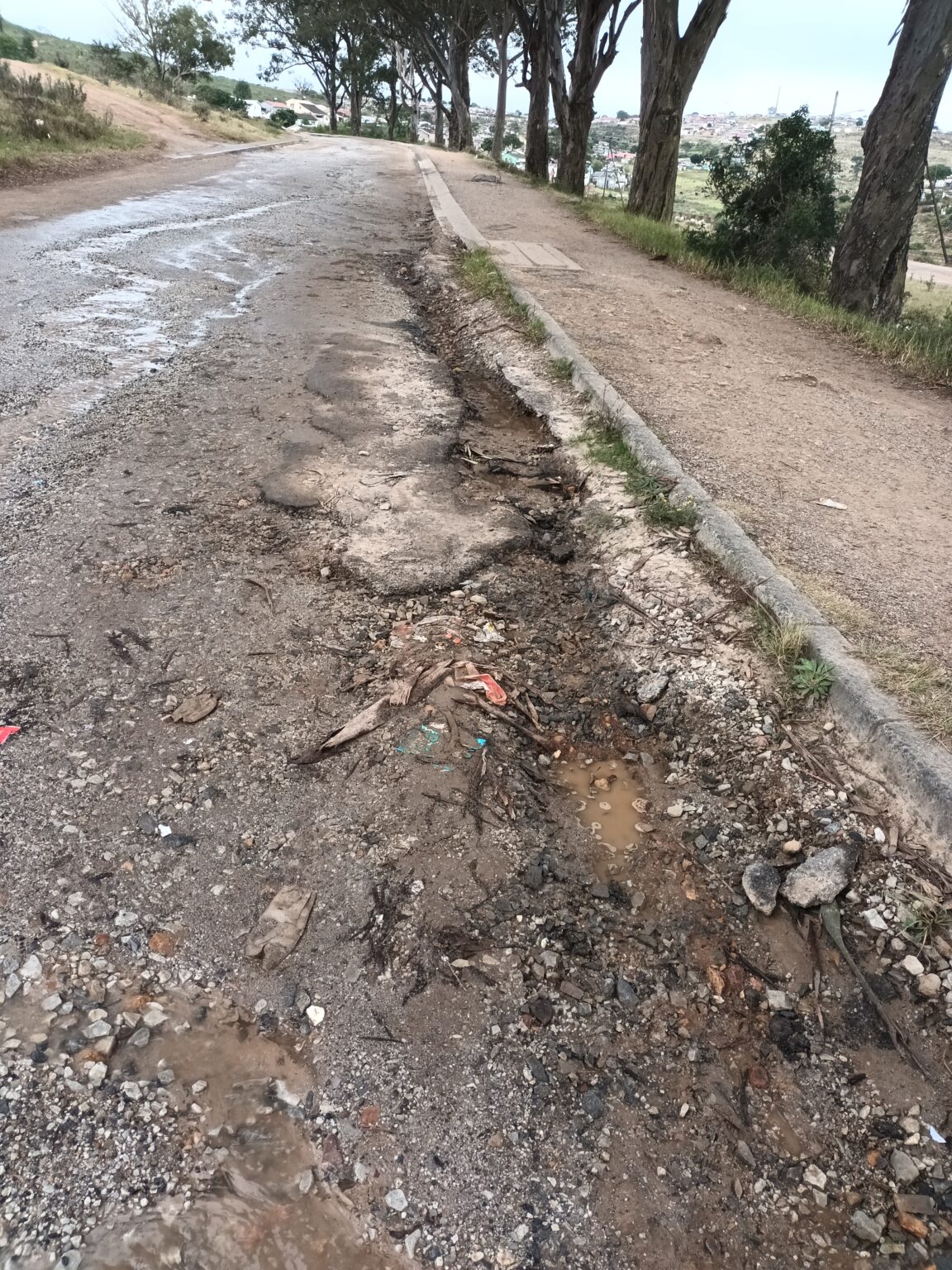 Road Cavity: The road that passes Mary Waters High School is filled with potholes and the regular street flooding causes even more damage. Photo: Ntombentsha Yamiso