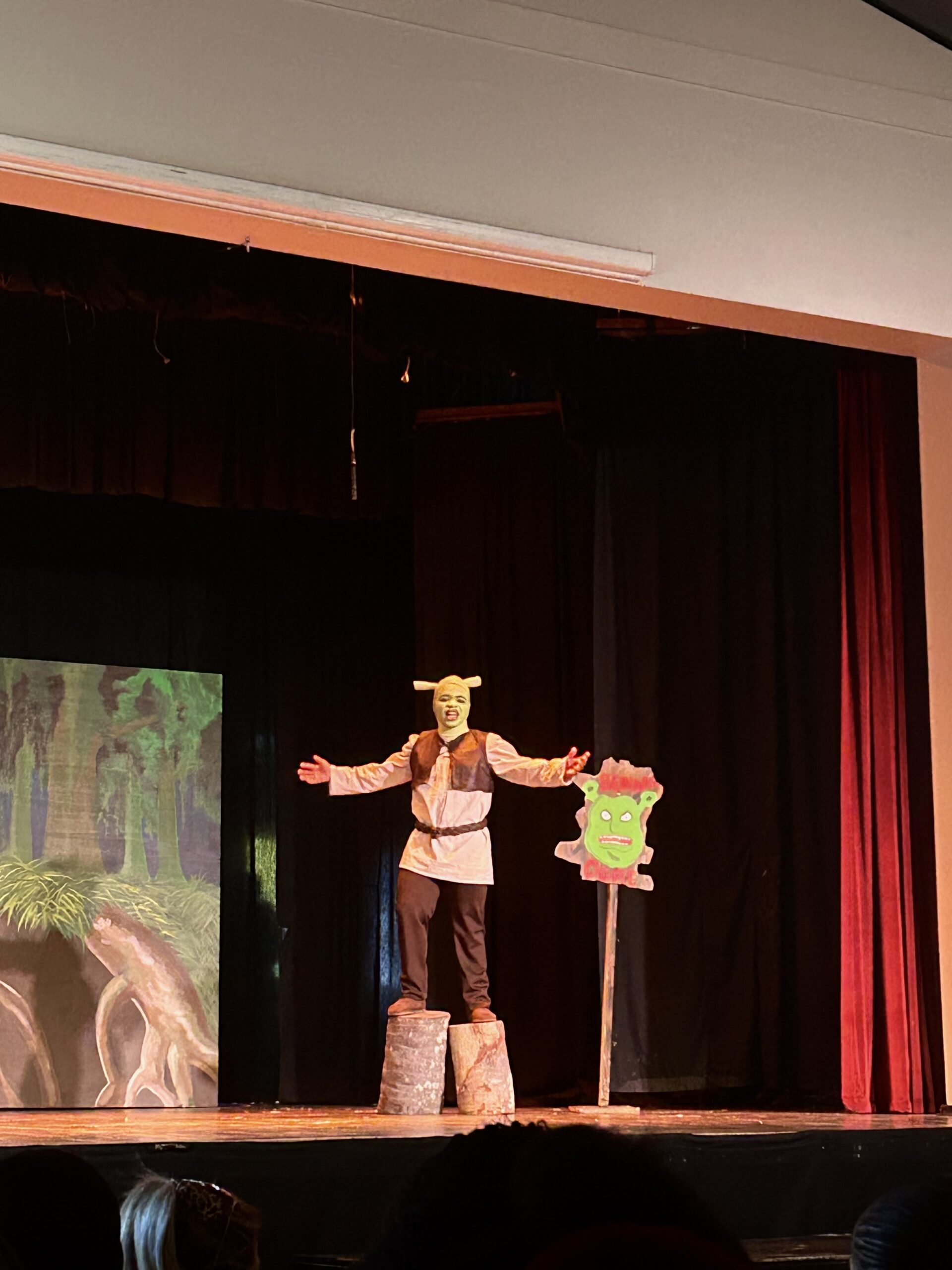 Shrek the Musical Jr performance. Photo: Ruvesen Naidoo