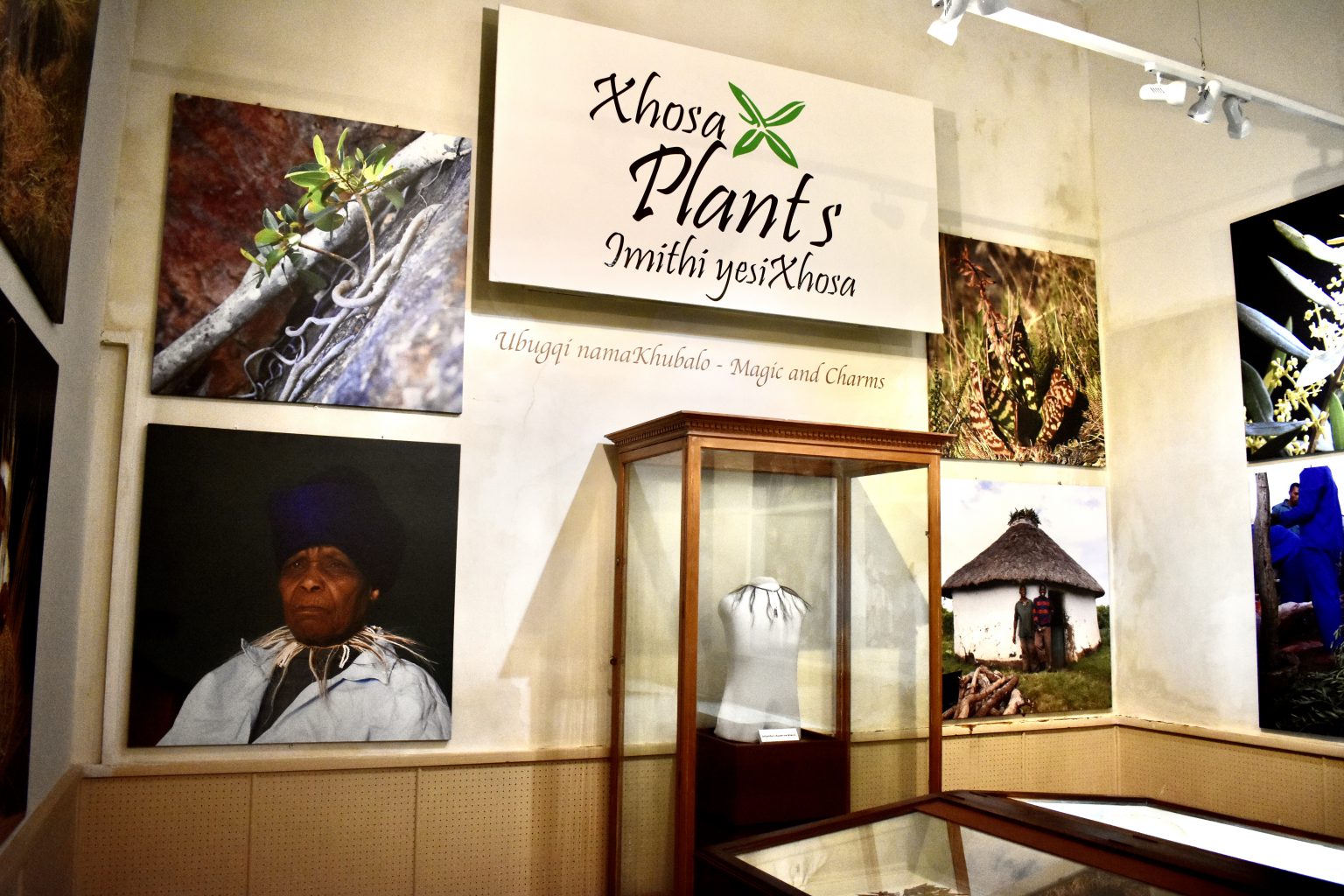 The Xhosa Plant exhibition, Albany science museum.