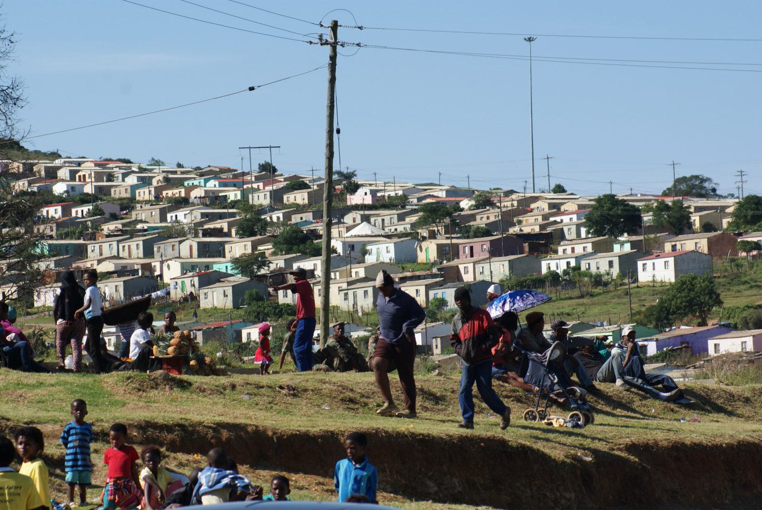 Image of Egazini in Makhanda. Photo: Steven Lang