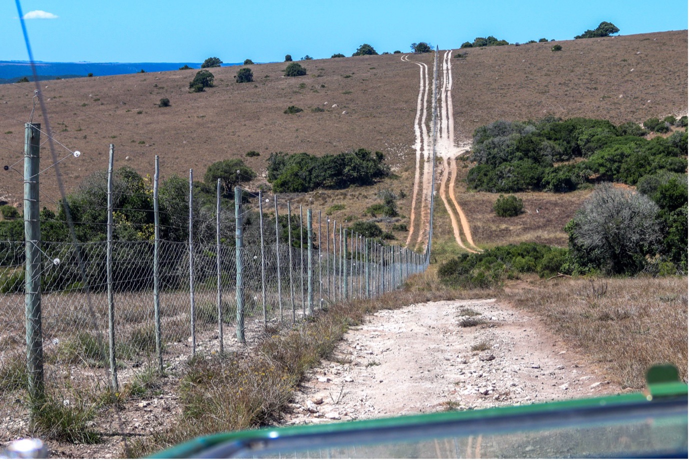 The fence boundaries of the reserve are vital as they ensure the animals stay within it. However, the base of it can prove to be the weak spot, as it lifts or can be lifted by smaller animals (such as warthogs or jackals). As a result of this, the conservation staff have to ensure that they prevent this. This is the portion of the section of fence that was assigned to be checked this day. The road is close to the fence, allowing the guide and volunteers to slowly drive, looking for points to fix. Photo: Abigail Van der Hoven