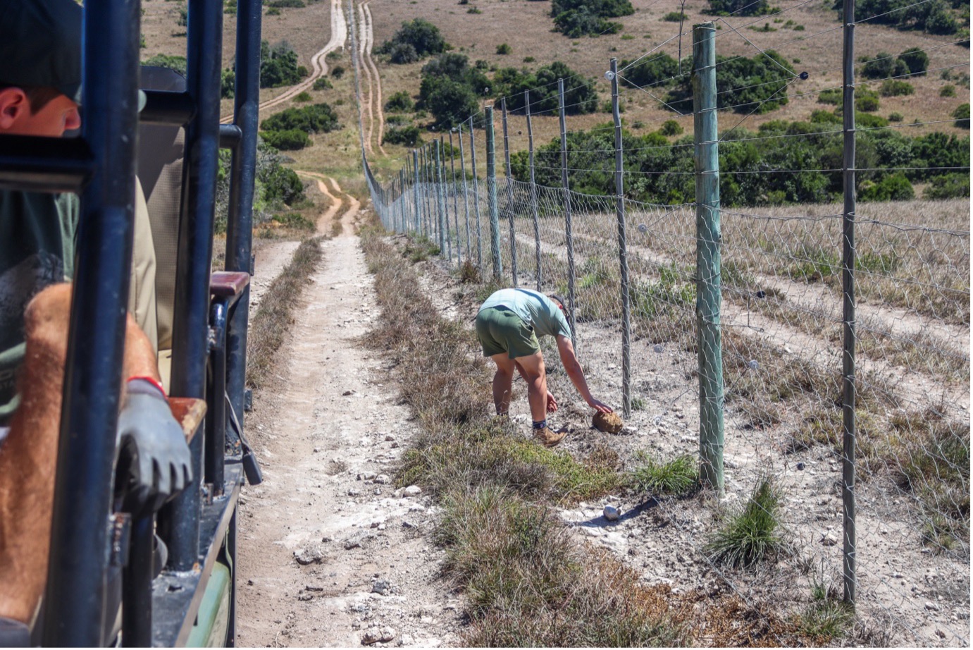 Once at the fence, the vehicle slowly drives along the fence, searching for holes to block. When spotted, the volunteers take turns getting rocks to do so. Photo: Abigail Van der Hoven