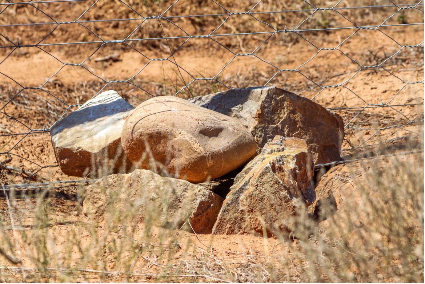 An example of a hole dug by an animal, burrowing underneath the fence. The solution being to put some large rocks in the hole and on the fence. Securing that hole and the directly near areas of the fence. Photo: Abigail Van der Hoven