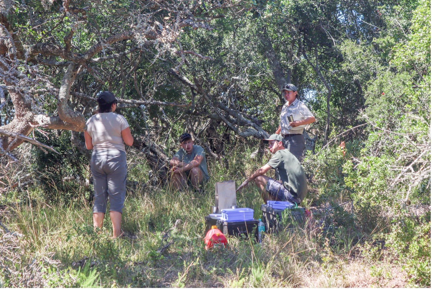 After a long day of fixing the fence and looking for animals to monitor, the volunteers and Charlene (the conservation guide) find a shaded spot to sit and have lunch. This ‘picnic spot’ is at risk of having a lion or elephant nearby, so Charlene gets out on her own and scans the area, clapping her hands as she does so, before allowing the volunteers to get out. Photo: Abigail Van der Hoven