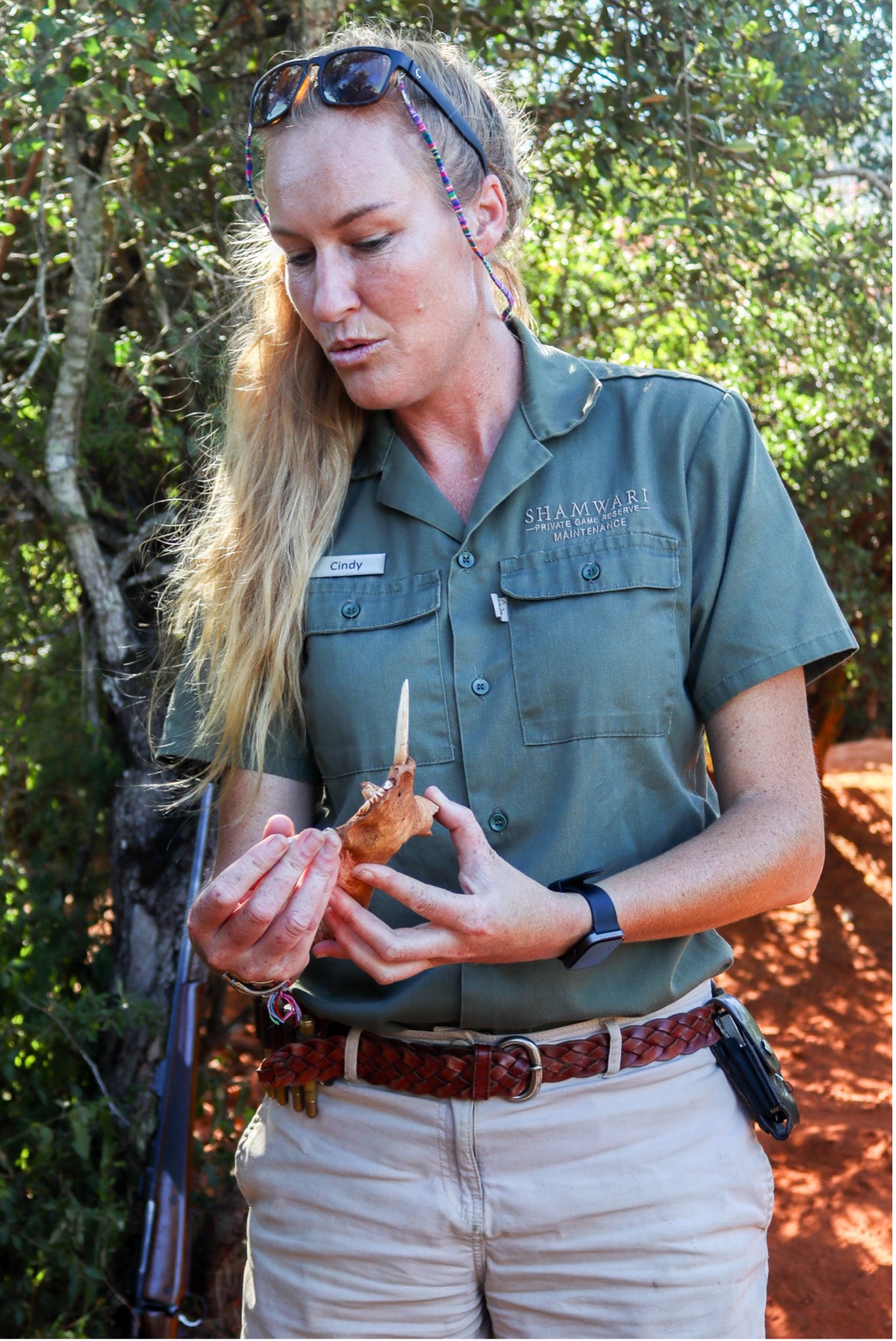 Cindy is showing the volunteers the volunteers a warthog skull. Pointing out how to identify which skull belongs to which animal, and what makes this particular one a male warthog skull. Photo: Abigail Van der Hoven