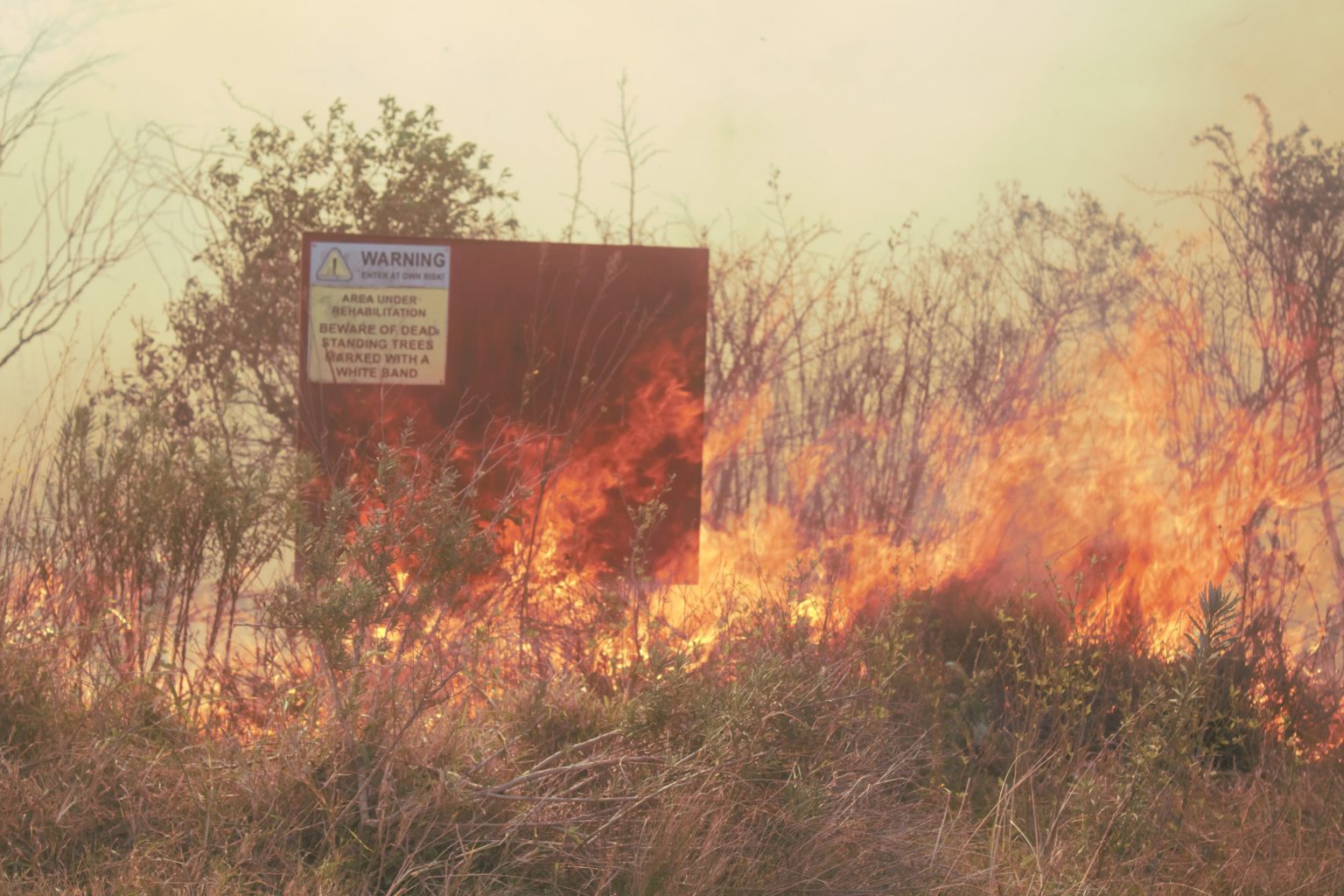 Wildfires, fanned by strong winds, had firefighters and residents of Makhanda scampering on Tuesday trying to protect threatened residences. Photo: Luvuyo Mjekula