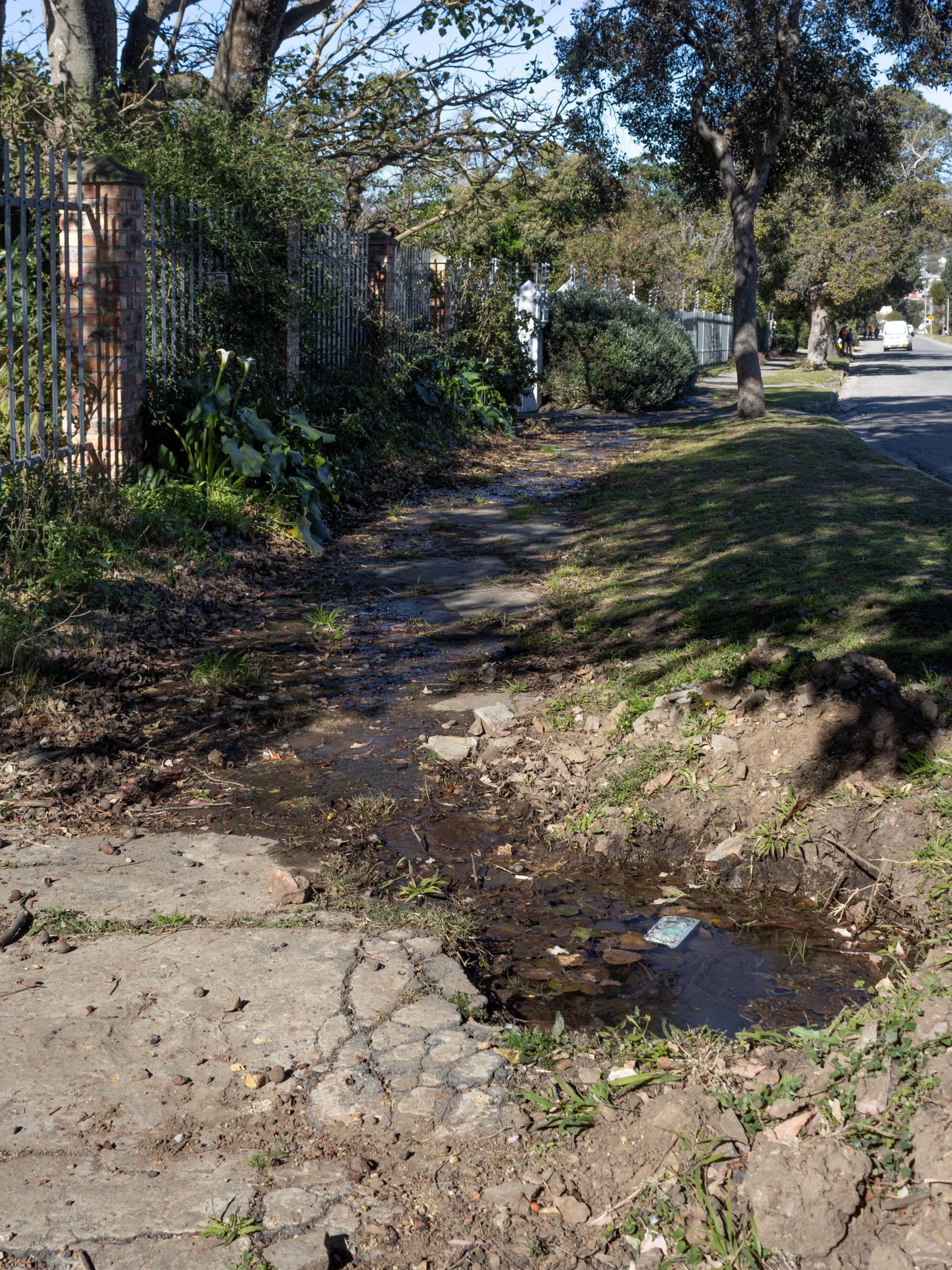 Open Water Leak found outside MIlner Street on the 22nd July Photo by Rikie Lai