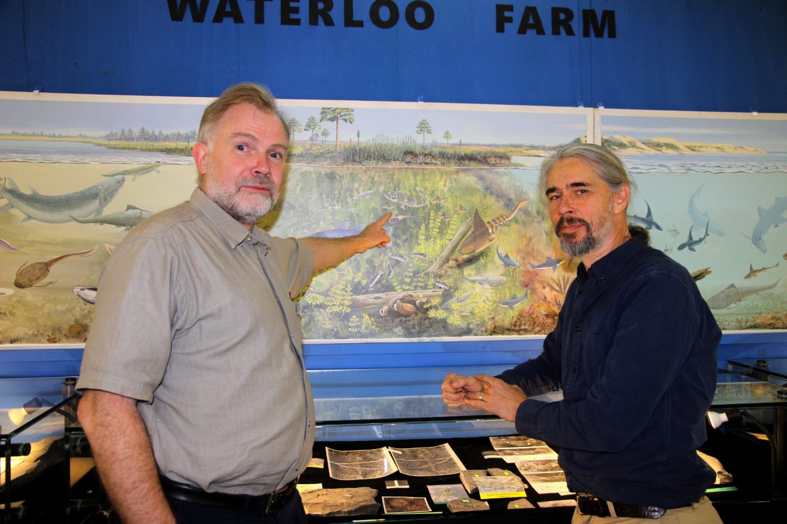 Prof Per Ahlberg points to a rhizodont in a representation of how Waterloo Farm might have appeared about 360 million years ago. Dr Rob Gess discovered fossilised remnants of the ancient fish in shale deposits on the farm. Photo: Steven Lang