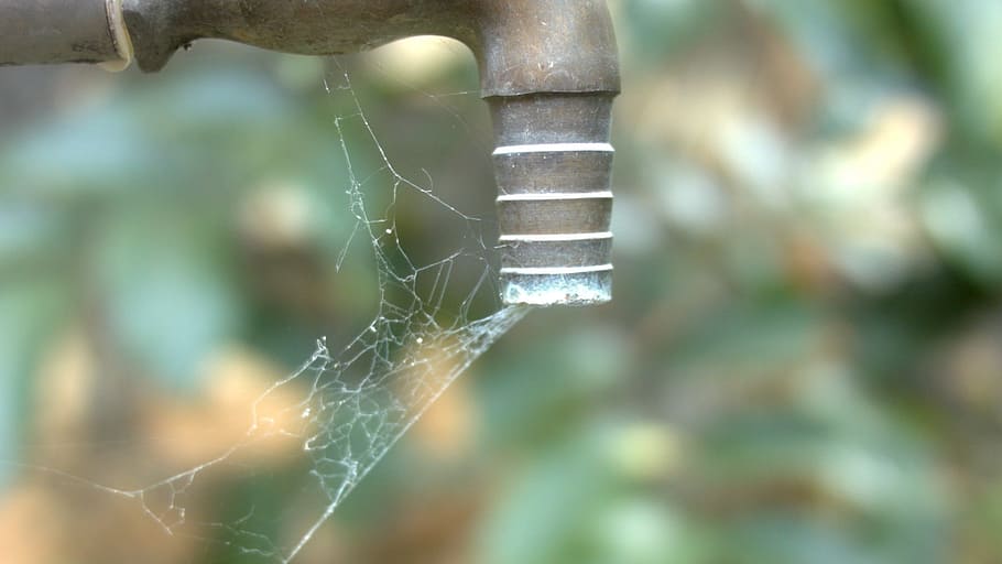 Taps are often dry in Alicedale, say residents. Photo: Supplied