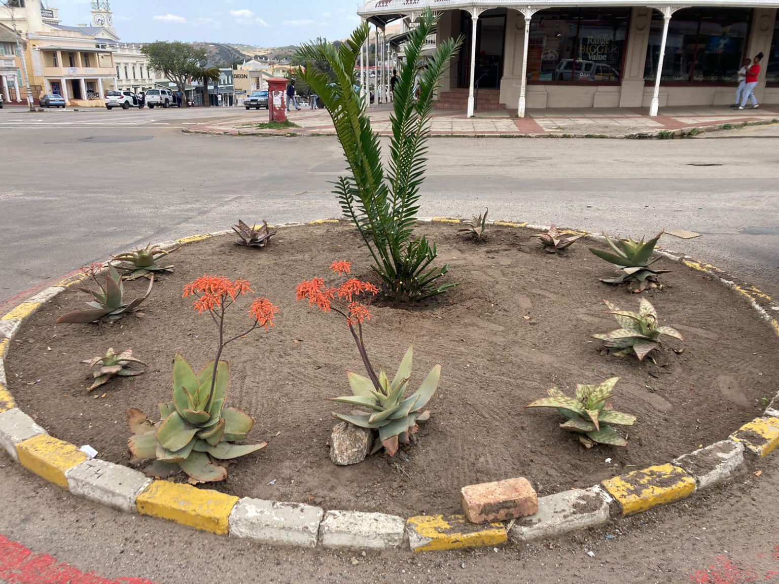 Residents of ward 8 started the 'Verge of Change' initiative earlier this year to change, revitalise and uplift their public spaces. Photo: Supplied