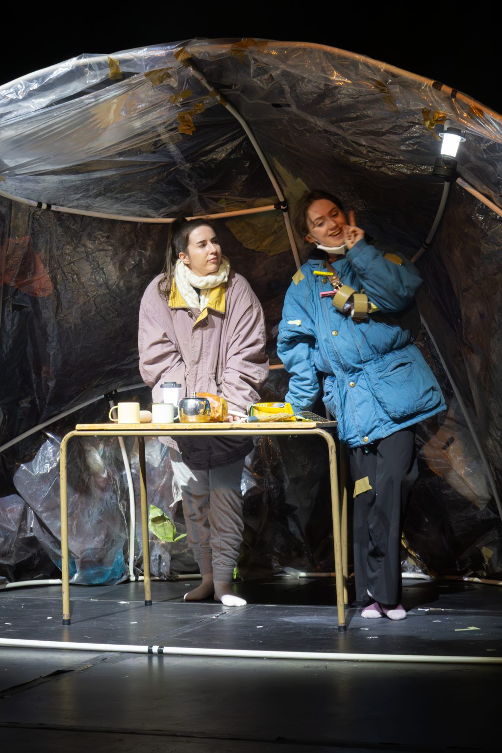 I know what the birds are doing