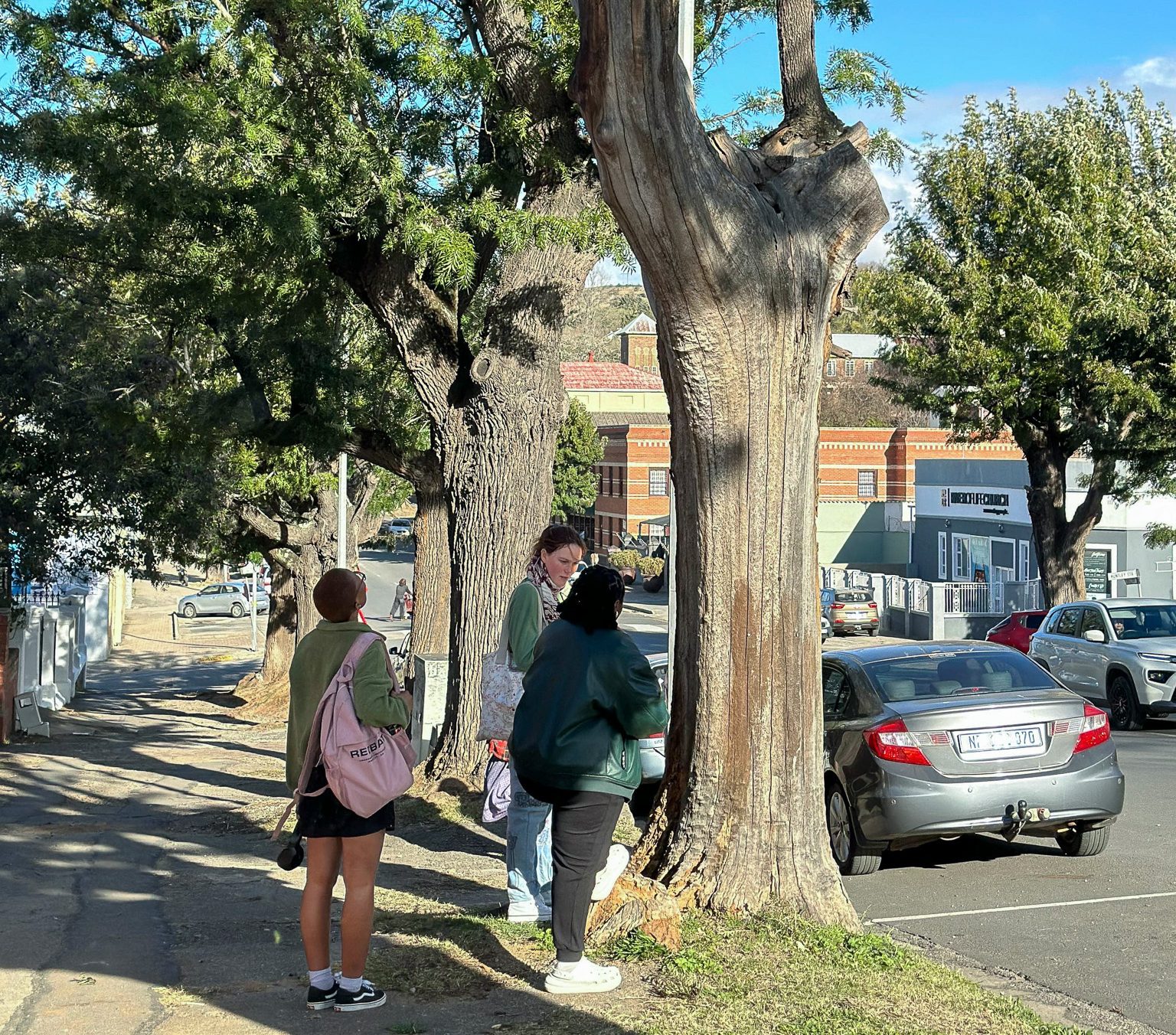 Geography students map the city’s trees