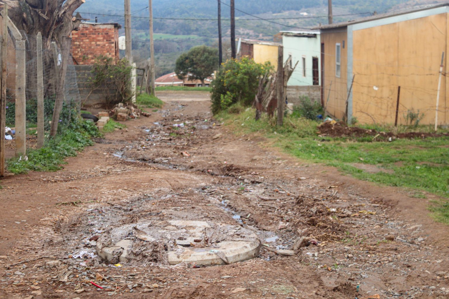 Cogta’s phased strategy to turn Makana around