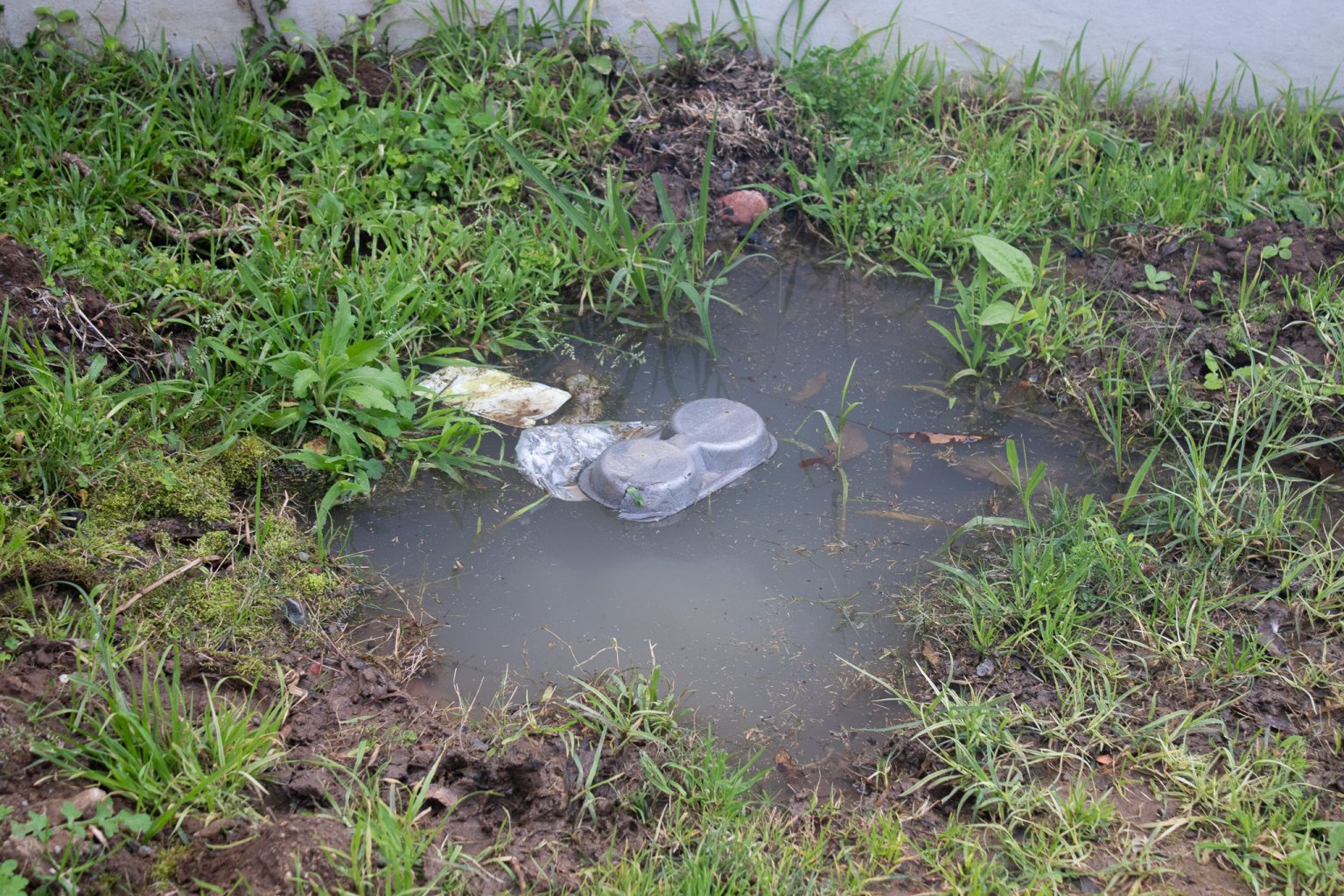 ‘We are not actually living’