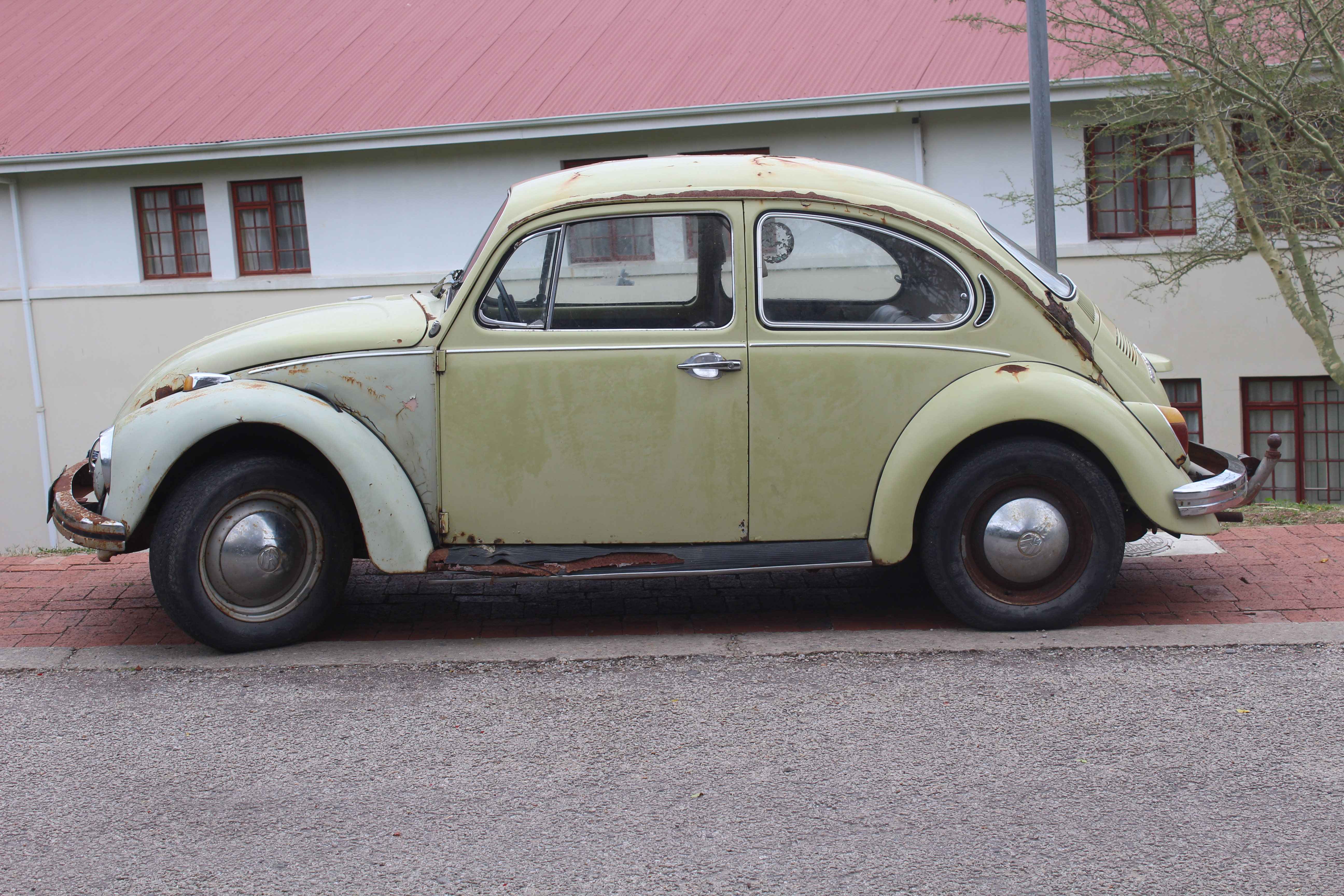 Looking old, rusted and yet stunning.