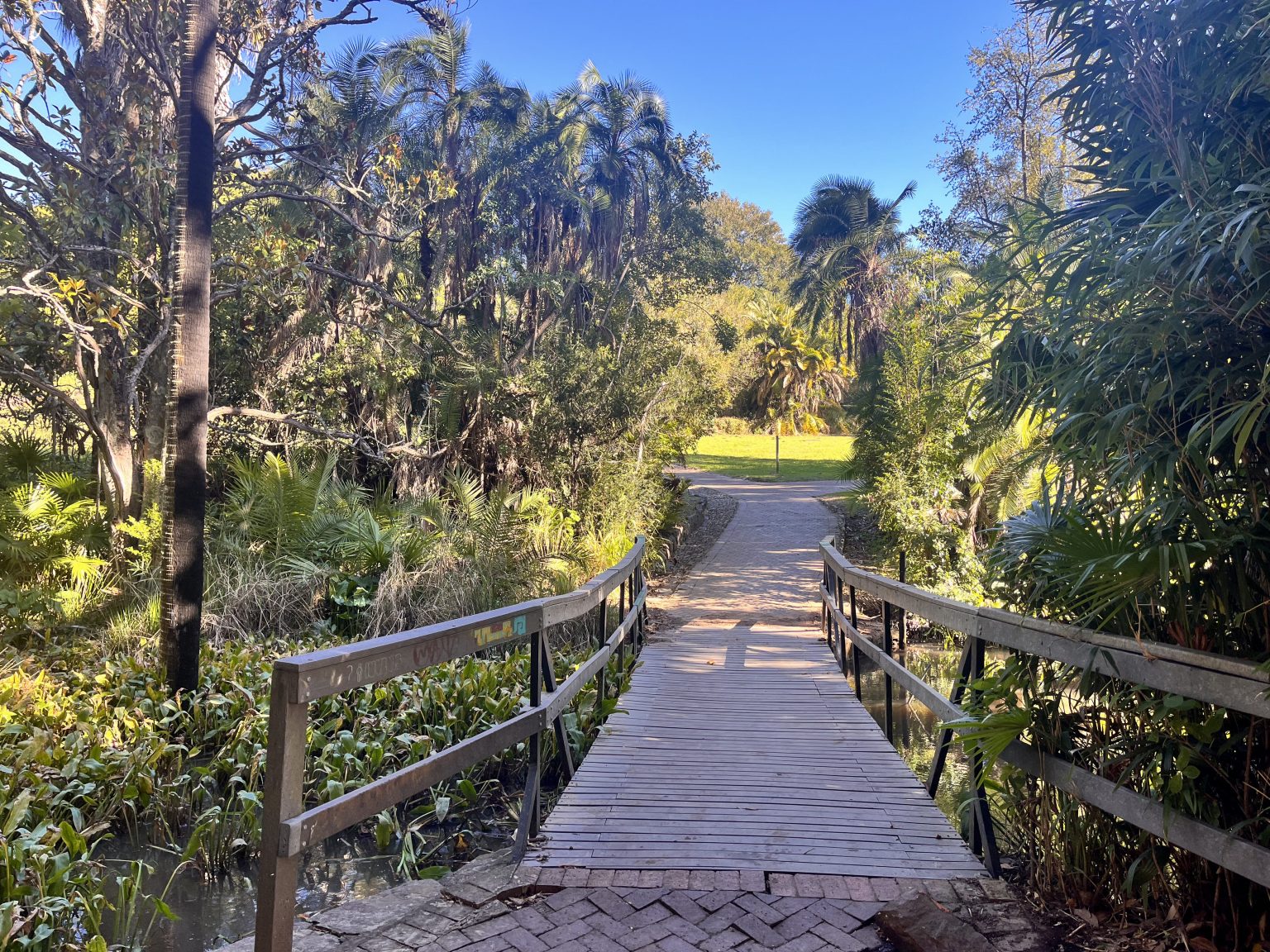 Bots R Us! A shared vision takes root