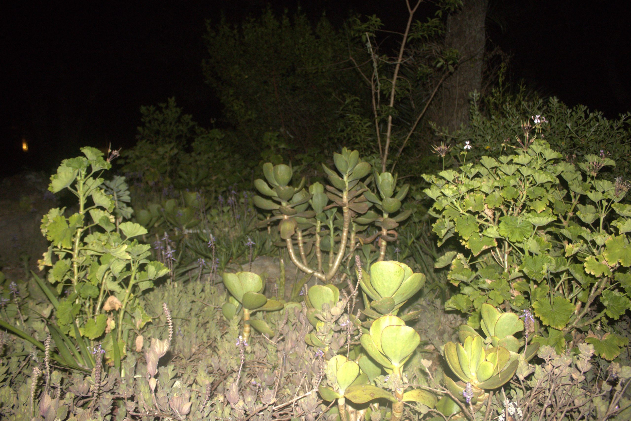 Nature thrives best when nurtured.Photo: Siyanda Zinyanga