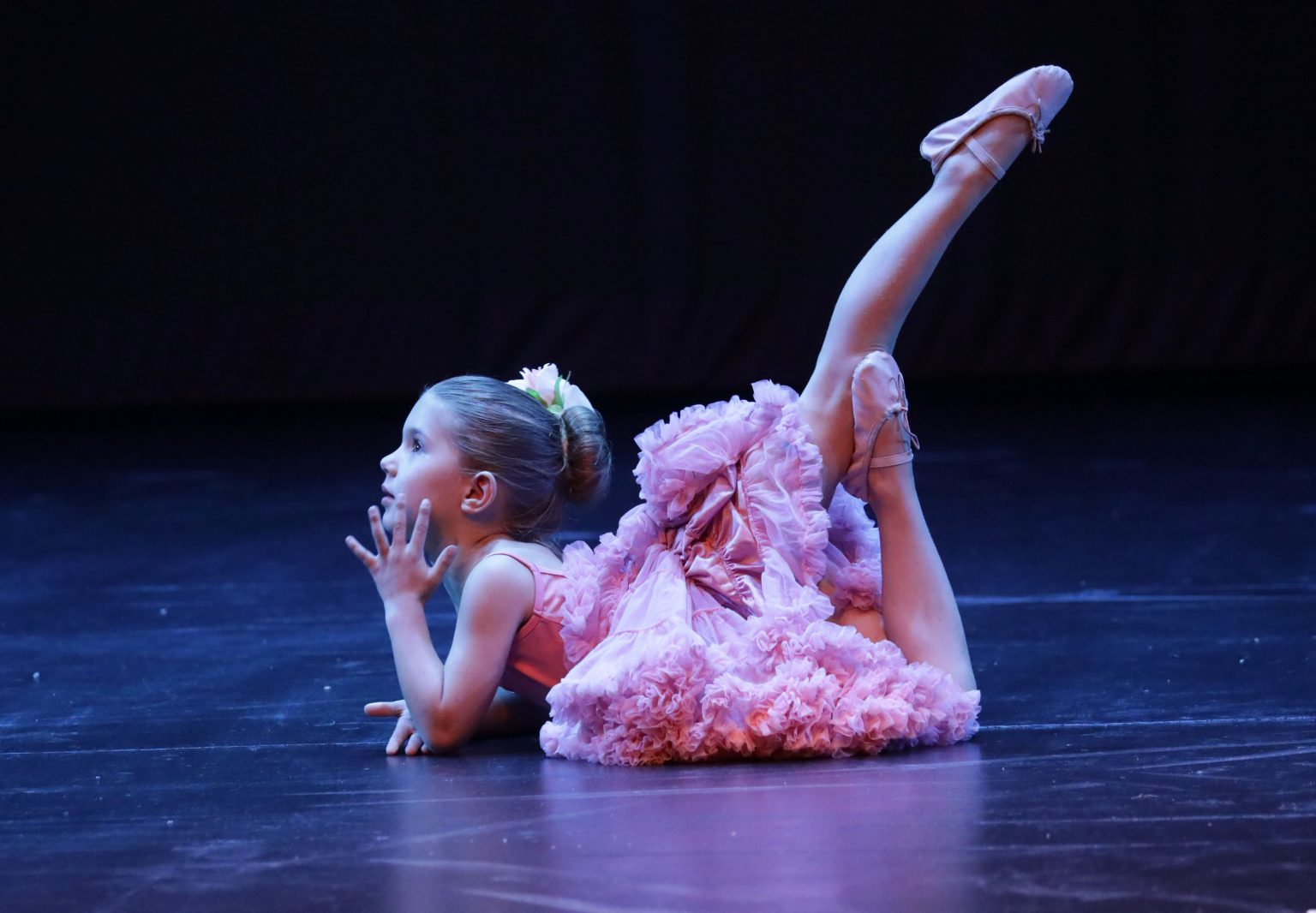 Firebird takes flight